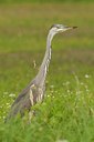 BUITEN BEELD Foto: 37486