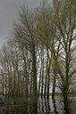 BUITEN BEELD Foto: 37507