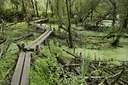 BUITEN BEELD Foto: 37509
