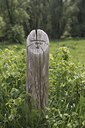 BUITEN BEELD Foto: 37511