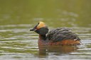 BUITEN BEELD Foto: 37522