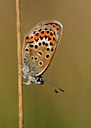 BUITEN BEELD Foto: 37530