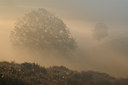 BUITEN BEELD Foto: 37549