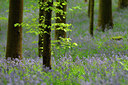 BUITEN BEELD Foto: 37560
