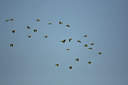 BUITEN BEELD Foto: 37579