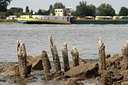 BUITEN BEELD Foto: 37609