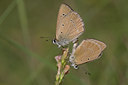 BUITEN BEELD Foto: 37619