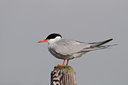 BUITEN BEELD Foto: 37673