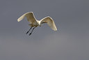 BUITEN BEELD Foto: 37684
