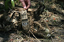 BUITEN BEELD Foto: 37717