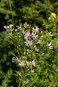 BUITEN BEELD Foto: 37728