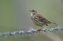 BUITEN BEELD Foto: 37747