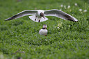 BUITEN BEELD Foto: 37756