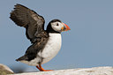 BUITEN BEELD Foto: 37763