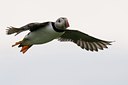 BUITEN BEELD Foto: 37766