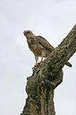 BUITEN BEELD Foto: 37806