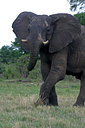 BUITEN BEELD Foto: 37856