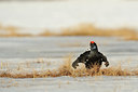 BUITEN BEELD Foto: 37894