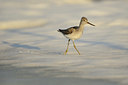 BUITEN BEELD Foto: 37896