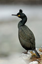 BUITEN BEELD Foto: 37905