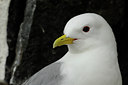 BUITEN BEELD Foto: 37907