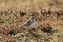 BUITEN BEELD Foto: 37922