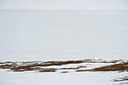 BUITEN BEELD Foto: 37931