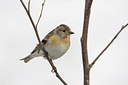 BUITEN BEELD Foto: 37950