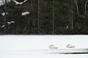 BUITEN BEELD Foto: 37953