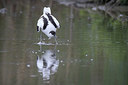 BUITEN BEELD Foto: 379448