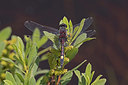 BUITEN BEELD Foto: 379467