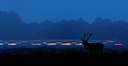 BUITEN BEELD Foto: 379468