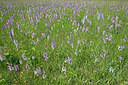 BUITEN BEELD Foto: 379631