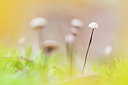 BUITEN BEELD Foto: 379903