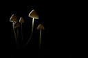 BUITEN BEELD Foto: 379911