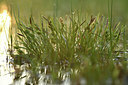 BUITEN BEELD Foto: 379942