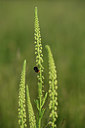 BUITEN BEELD Foto: 379955