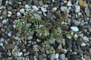 BUITEN BEELD Foto: 380036