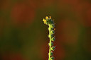 BUITEN BEELD Foto: 380037