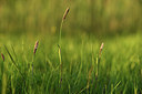 BUITEN BEELD Foto: 380050
