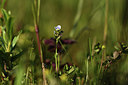BUITEN BEELD Foto: 380055