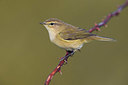BUITEN BEELD Foto: 380344