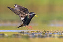 BUITEN BEELD Foto: 380412