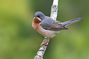 BUITEN BEELD Foto: 380450