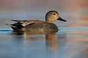 BUITEN BEELD Foto: 380573