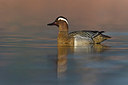 BUITEN BEELD Foto: 380594