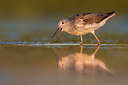 BUITEN BEELD Foto: 380658