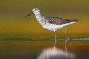 BUITEN BEELD Foto: 380661