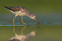 BUITEN BEELD Foto: 380666