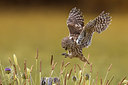 BUITEN BEELD Foto: 380738